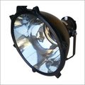 Stainless Steel Reflector Floodlights