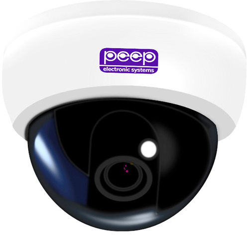Dome Camera