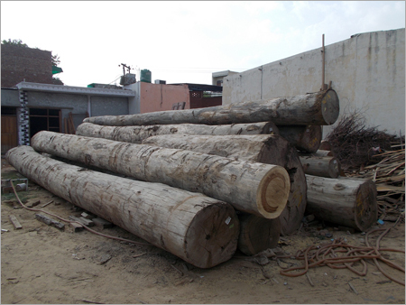 Lumber Logs