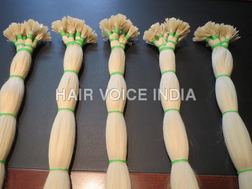 Human Hair