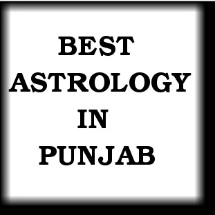 Punjab Astrologer Service