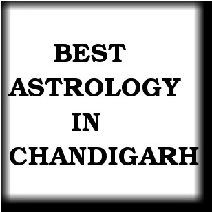 Famous astrologer Chandigarh