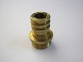 Brass Innner Hex Screw