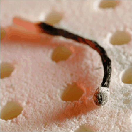 Flame Retardant Foam