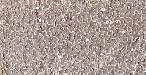 CutWork Fabrics