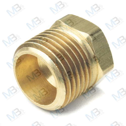 Brass Hex Plug