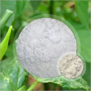 Food Grade Guar Gum Powder