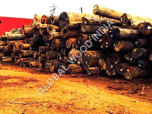 Kapur Round Logs