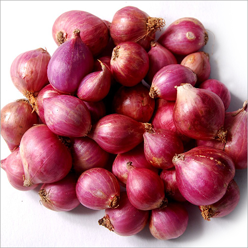 Fresh Onions