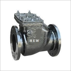 Cast Iron Reflux Valve