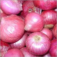 Fresh Onions