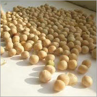 Organic Soya Seed