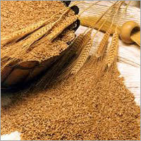 Whole Wheat