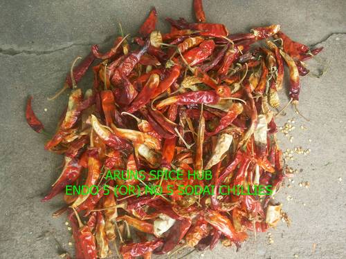 Sodai chillies