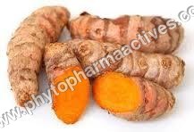 Curcumin supplement