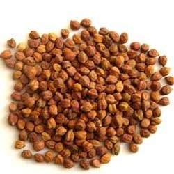 Brown Chickpeas - Chana