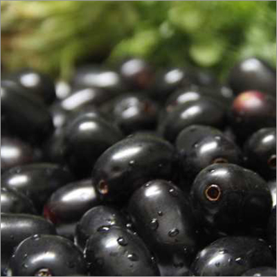 Indian Blackberry Fruit 