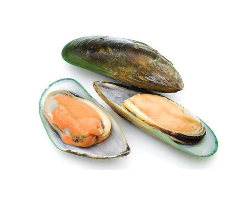 Fresh Green Mussel