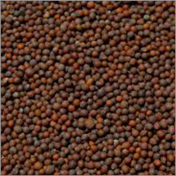 Natural Mustard Seeds