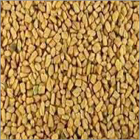 Fenugreek Seeds