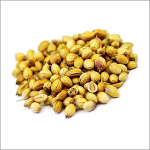Coriander Seeds