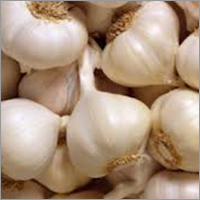 Fresh Garlic