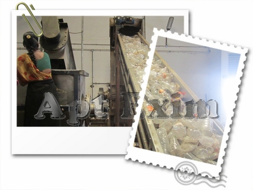 PET flakes Hot washed Clear