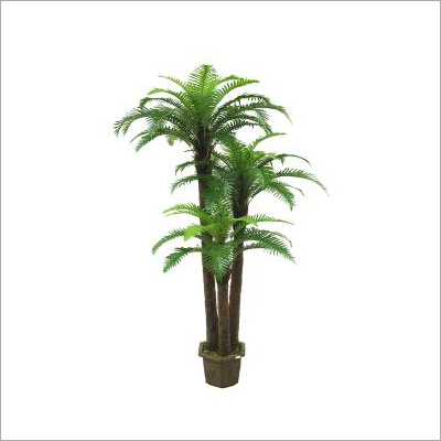 Fern Tree 3T