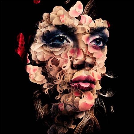 ग्राफ़िक डिज़ाइन और मल्टीमीडिया