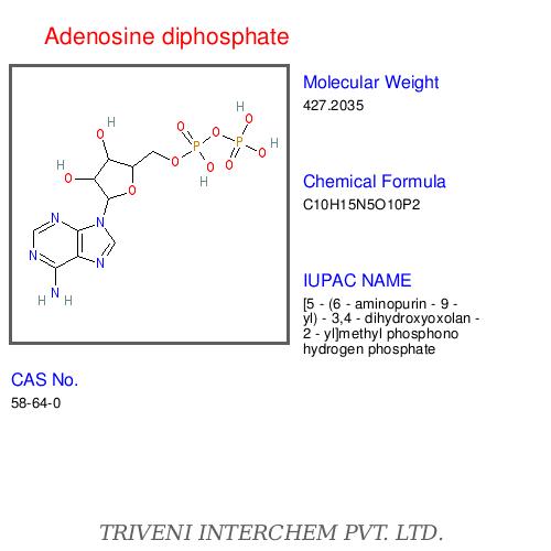 Adenosine Diphosphate - Adenosine 5'-Diphosphate, CAS 61-90-4, Molecular Weight 507.18 g/mol | Energy Transfer, Enzyme Cofactor, Cellular Function