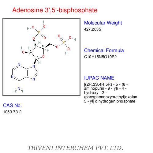 Nucleotidesâ
