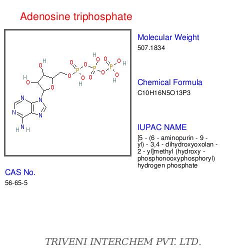 Adenosine triphosphate