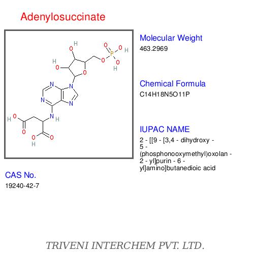 Nucleotidesâ