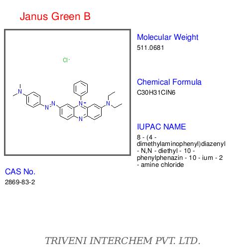 Janus Green B	