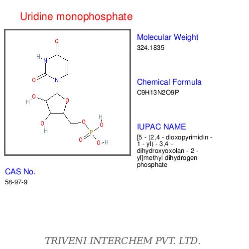 Nucleotidesâ
