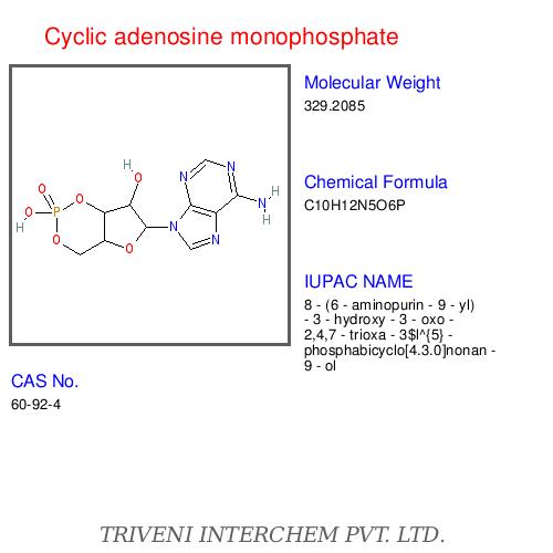 Cyclic adenosine monophosphate