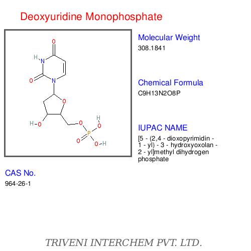 Nucleotidesâ