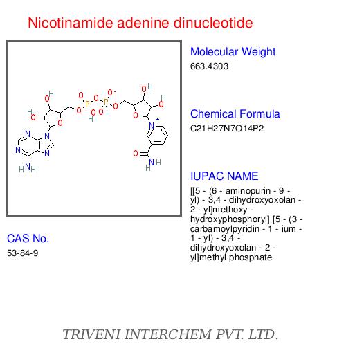 Nicotinamide adenine dinucleotide