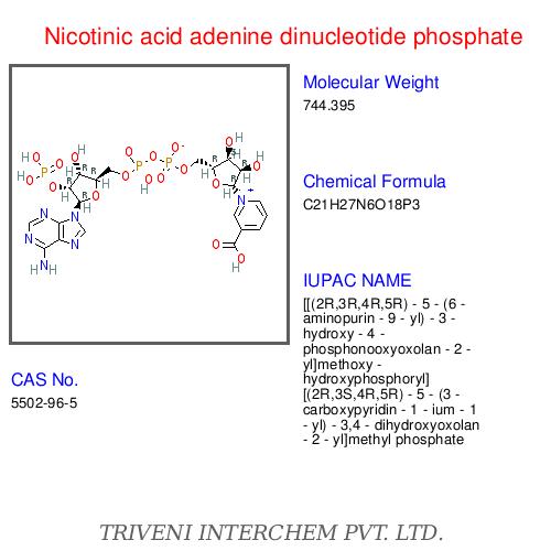 Nicotinic acid adenine dinucleotide phosphate