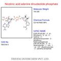 Nicotinic Acid Adenine Dinucleotide Phosphate