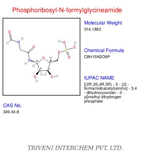 Nucleotidesâ