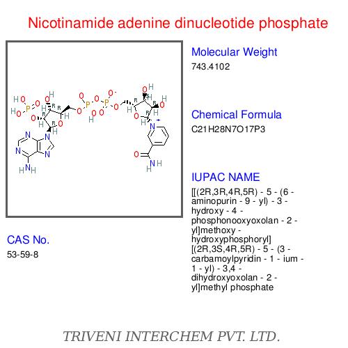 Nicotinamide adenine dinucleotide phosphate
