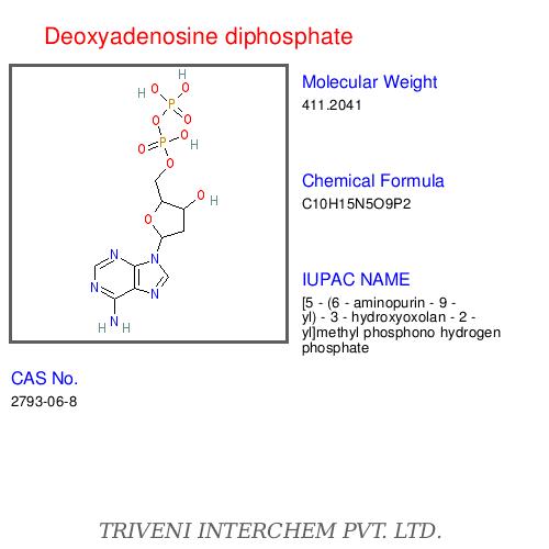 Nucleotidesâ