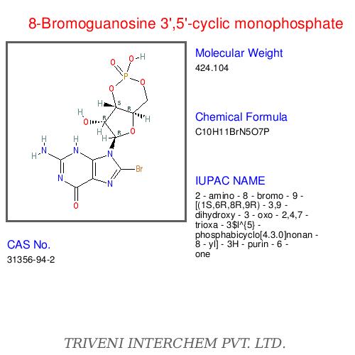Nucleotidesâ