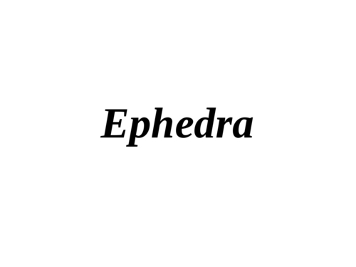 Ephedra
