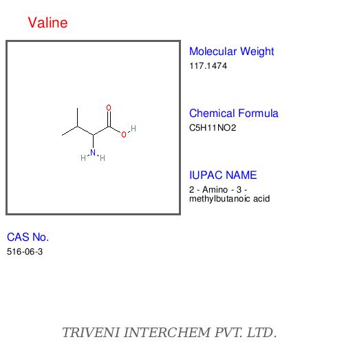 Glucogenic amino acidsâ