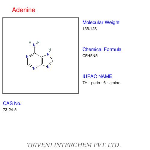 Adenine - Chemical Formula C5H5N5, CAS No 73-24-5 | High Purity, Precise Synthesis, Water Soluble, Reliable Quality