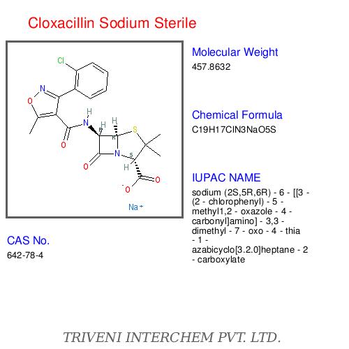 Cloxacillin Sodium Sterile