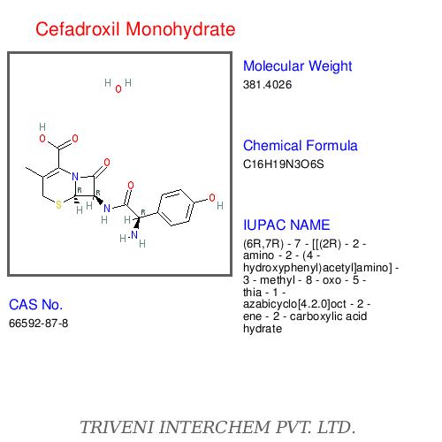 Cefadroxil Monohydrate