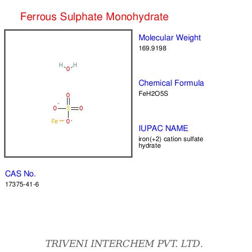 Ferrous Sulphate Monohydrate